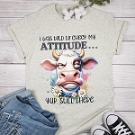 FCP - I WAS TOLD TO CHECK MY ATTITUDE